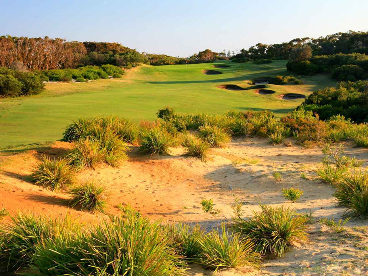 画像2: ニューサウスウェールズゴルフクラブ(NSW GolfClub)