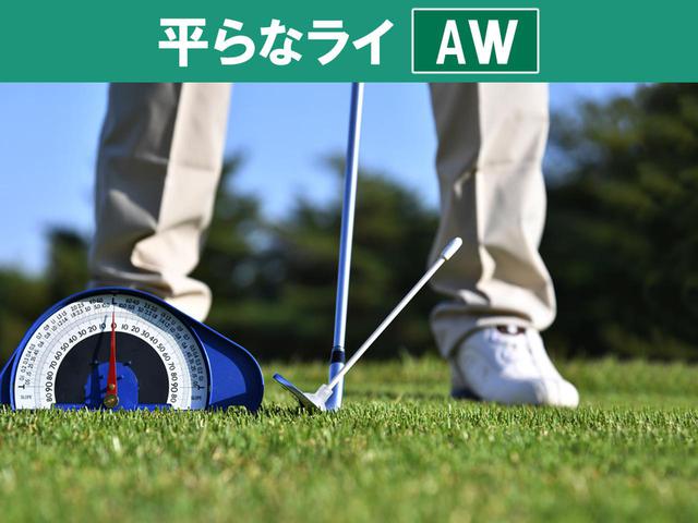 画像: これでちょうど100ヤードだとすると…