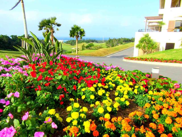 画像1: PGMゴルフリゾート沖縄を回る沖縄ゴルフ旅行です!