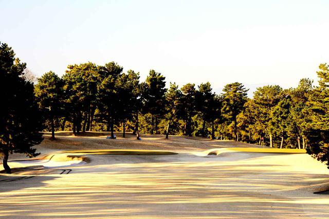 画像: 1番/428㍎/パー4 右が平成グリーン(L-93)、左が昭和グリーン(ペンクロス)