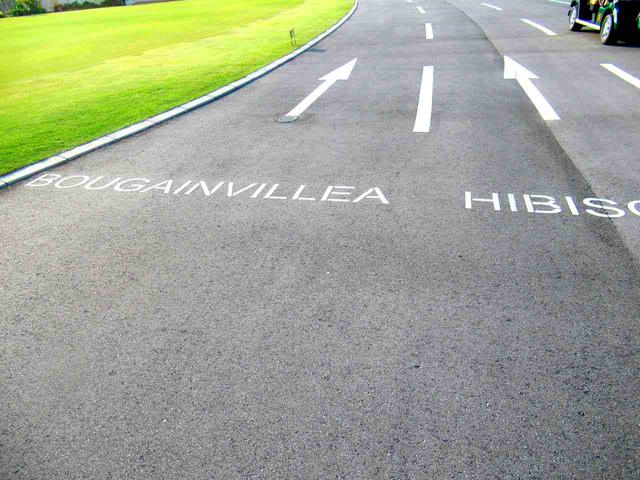 画像: クラブハウス前のカート道。こんなところにも海外のコースへ来たようなリゾート感