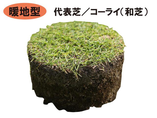 画像2: 現代は、8割以上のコースがベントグリーンを採用