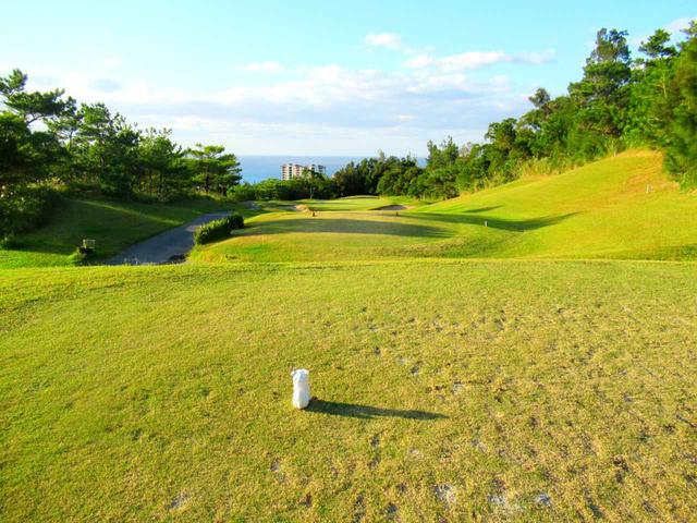 画像: 16番 Regular 163Y