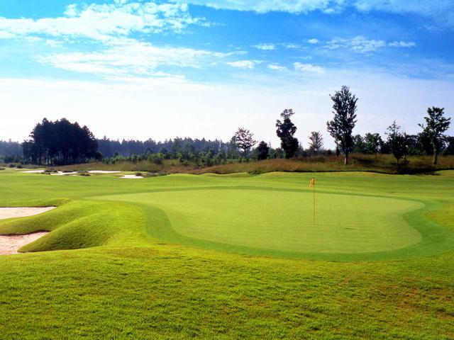 画像: 石岡GC8番のパー3。深いブッシュに入れて、立山プロは脱出不能に