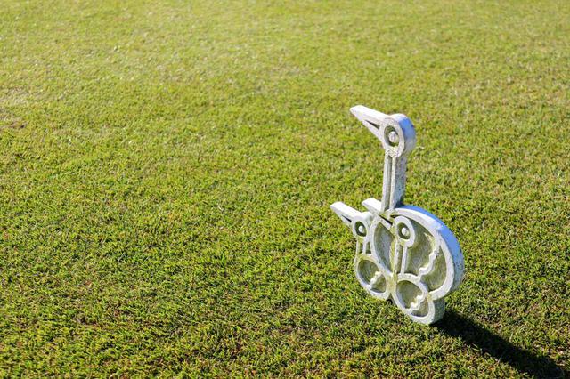 画像: クラブのマスコットはコウノトリ