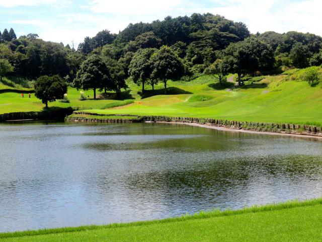 画像: 6番(チャンピオン161㍎・バック148㍎・P3)池越え
