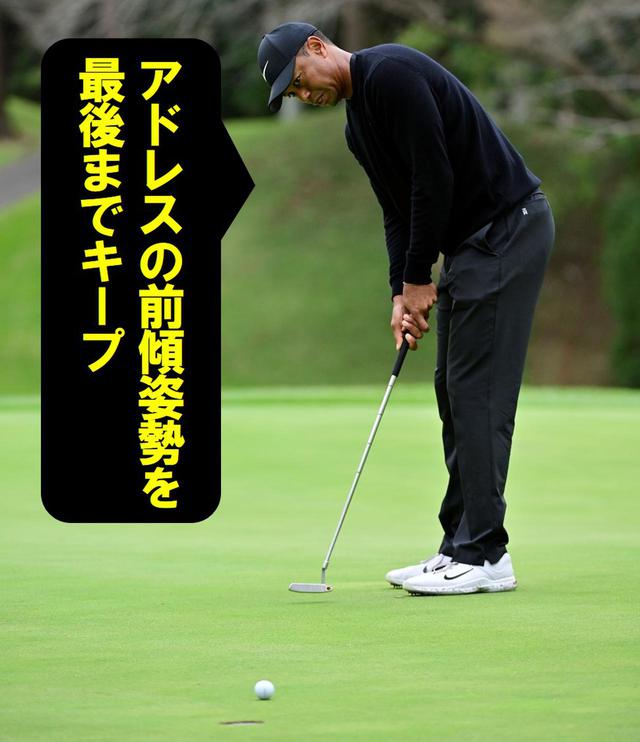 画像24: 【パット研究】タイガーの構えと打ち方、ギア選びに詰まった「パッティングの極意」、中井学プロが解説!