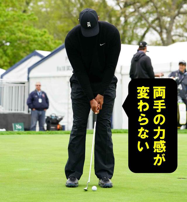 画像6: 【パット研究】タイガーの構えと打ち方、ギア選びに詰まった「パッティングの極意」、中井学プロが解説!
