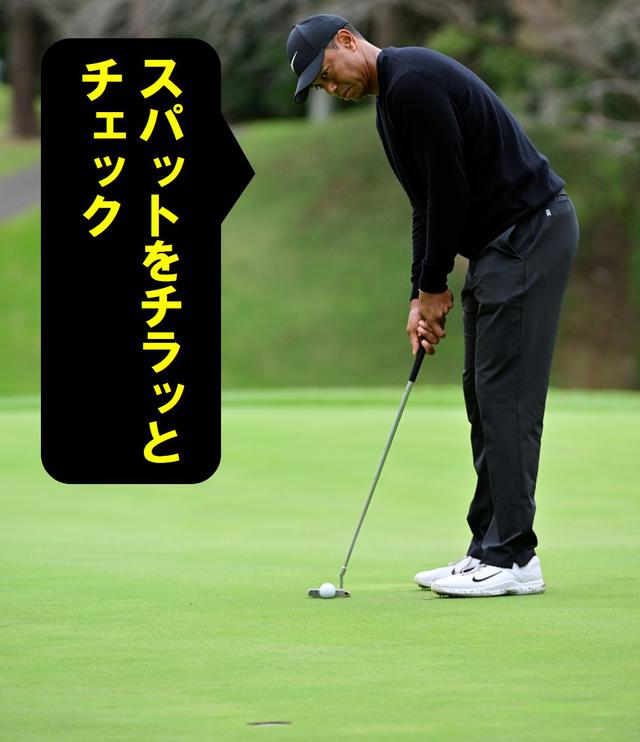 画像16: 【パット研究】タイガーの構えと打ち方、ギア選びに詰まった「パッティングの極意」、中井学プロが解説!