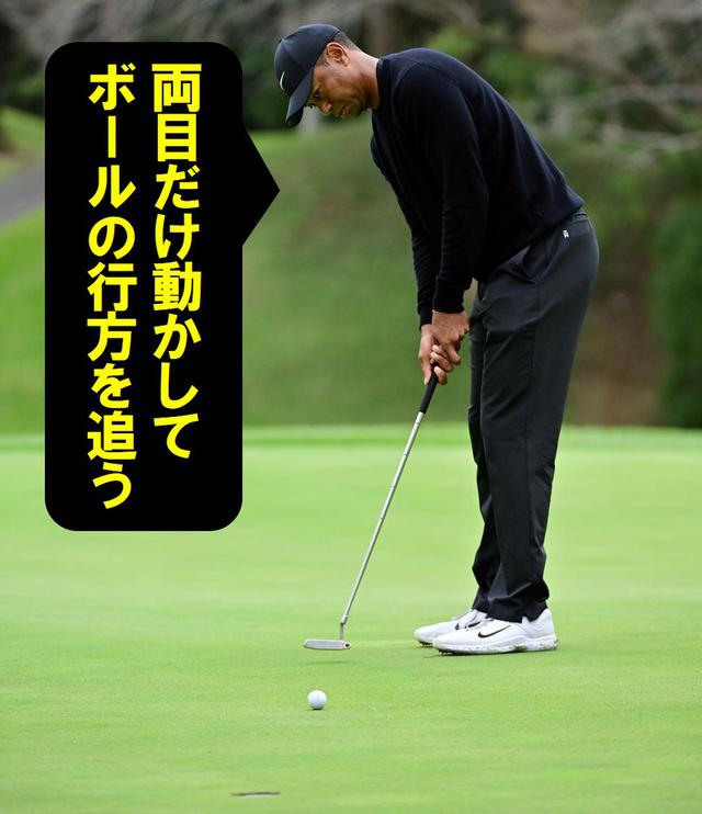 画像23: 【パット研究】タイガーの構えと打ち方、ギア選びに詰まった「パッティングの極意」、中井学プロが解説!