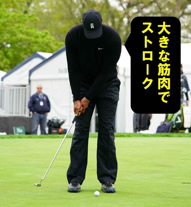 画像4: 【パット研究】タイガーの構えと打ち方、ギア選びに詰まった「パッティングの極意」、中井学プロが解説!