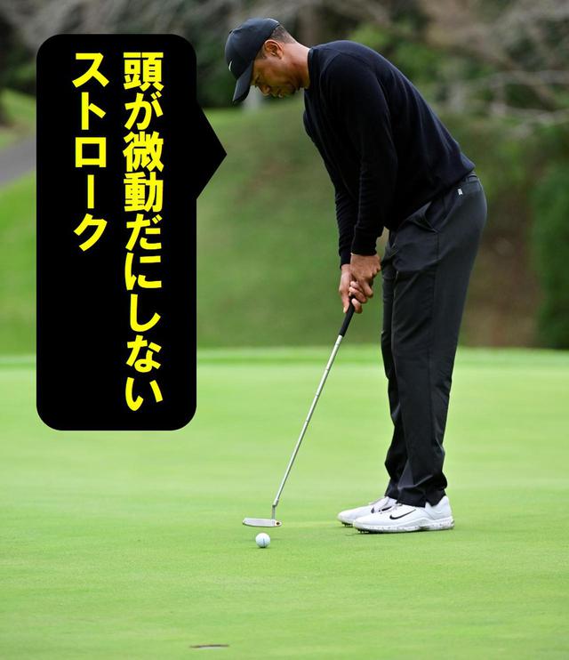 画像19: 【パット研究】タイガーの構えと打ち方、ギア選びに詰まった「パッティングの極意」、中井学プロが解説!