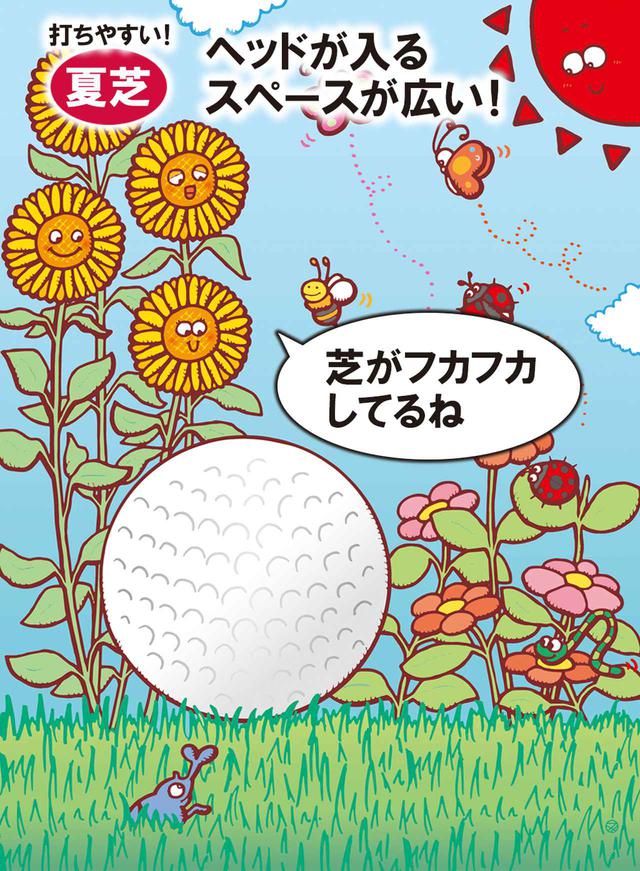 画像: ①【枯芝が難しい理由】冬はミスできる範囲が狭い
