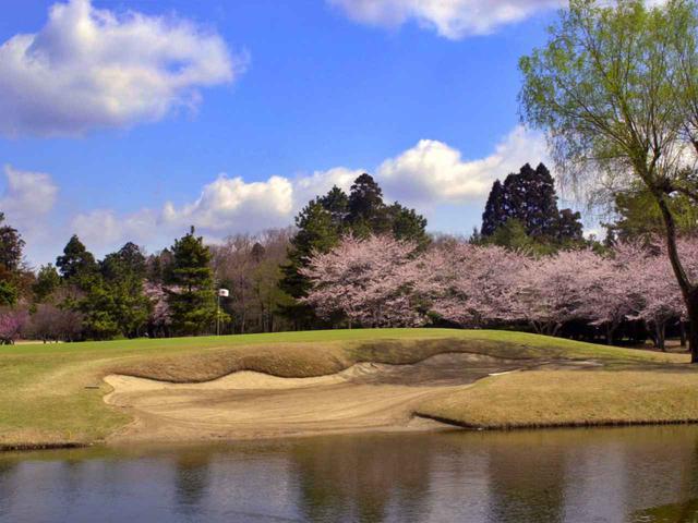 画像: 東4番/165㍎/パー3 グリーン手前に池があるパー3。春になると桜が咲き誇る名物ホール
