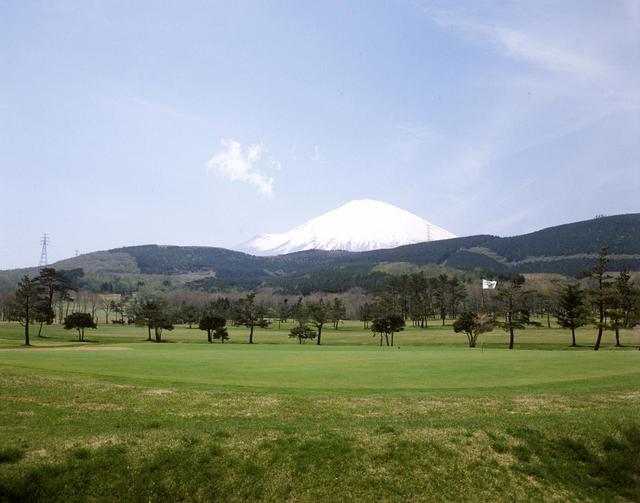 画像: 隣接するホールとは松林などの自然林でセパレートされている