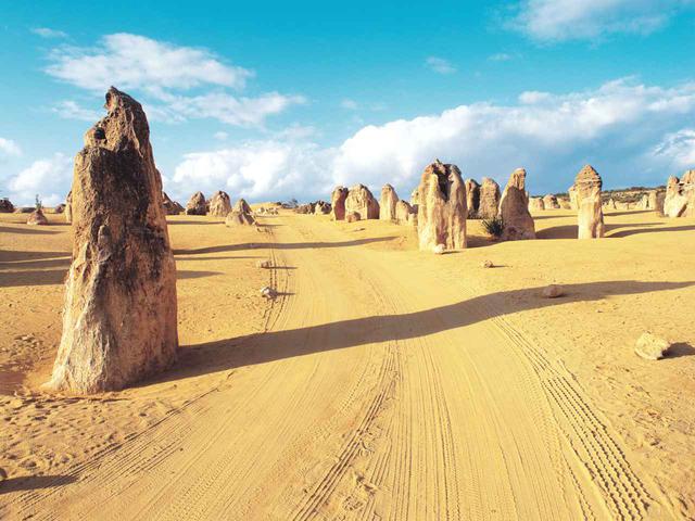 画像: パースから車で3時間、乗車したままの砂丘観光もある (ⒸAustralia's Coral Coast)
