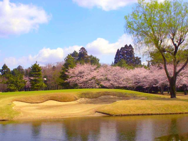 画像: 春には桜の名所としても知られる