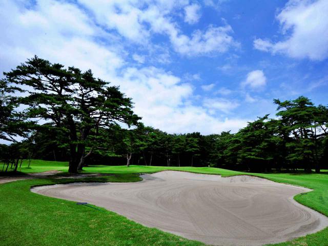 画像: 14番/350㍎/パー4 やや右ドッグレッグのルホール