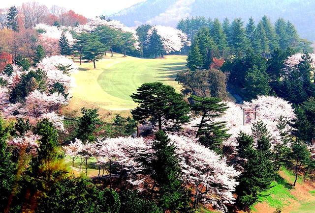 画像: 南・東・北コースの27ホール