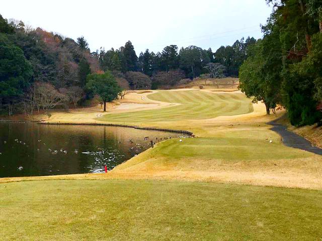 画像: 池が美しくも狙いどころを狭める13番パー4。池や木々が打ち出しを狭めるホールが多い