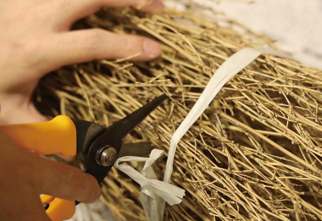 画像1: 竹ボウキを DIY してみよう!