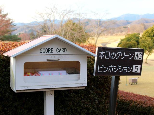 画像: もともとは2グリーンだったが、現在は順次1グリーン化を進めている段階で、2グリーンと1グリーンが混在中