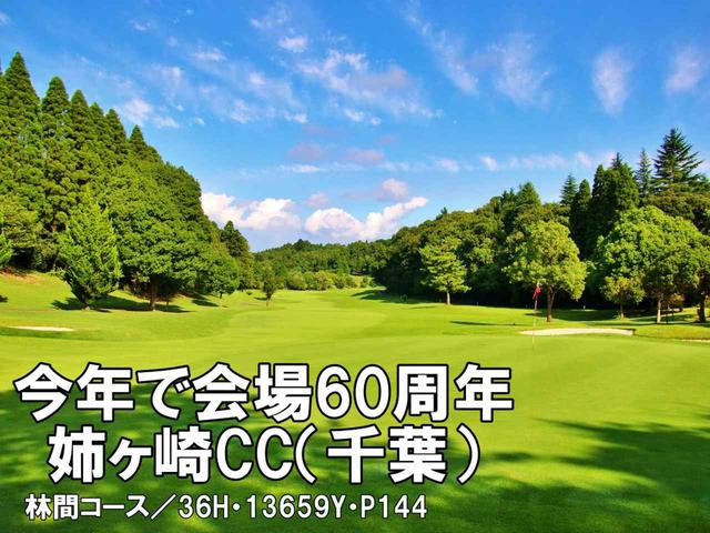 画像: 姉ヶ崎カントリー倶楽部 (千葉県) 相場65万円(税別)/名変料50万円(税別)