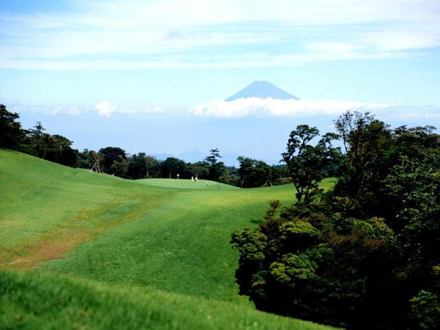 画像: 山の川奈とも呼ばれる、原生林に囲まれたフラットな林間コース