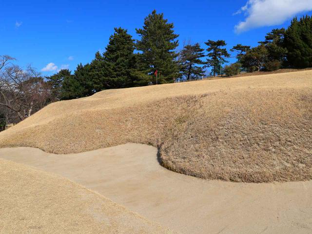 画像: アゴ高2㍍超のバンカーなど、赤星らしさたっぷり