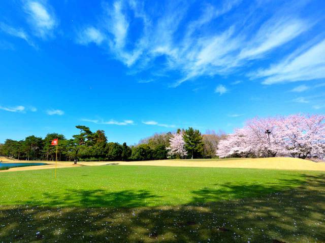 画像: 東松山カントリークラブ 東8番ホール(206Y・P3)