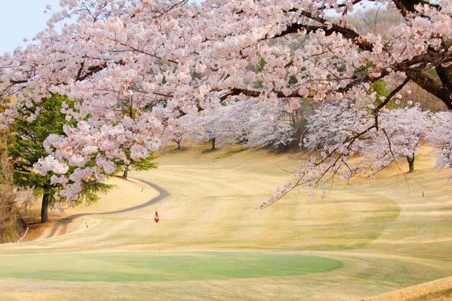 画像: 鳳凰ゴルフ倶楽部 東6番ホール(415Y・P4)