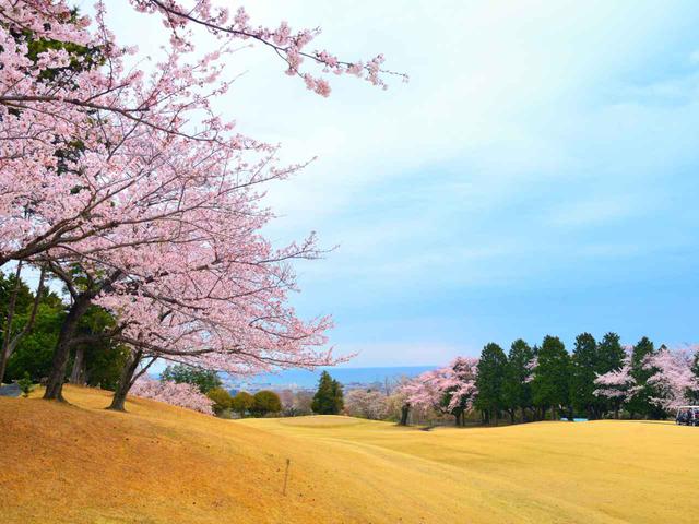 画像: 日立ゴルフクラブ 13番ホール(395Y・P4)