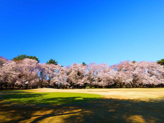 画像: 大宮ゴルフコース 14番ホール(610Y・P5)