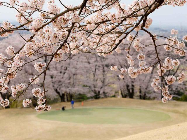 画像: 鳳凰ゴルフ倶楽部