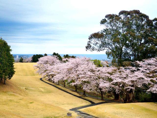 画像: 日立ゴルフクラブ