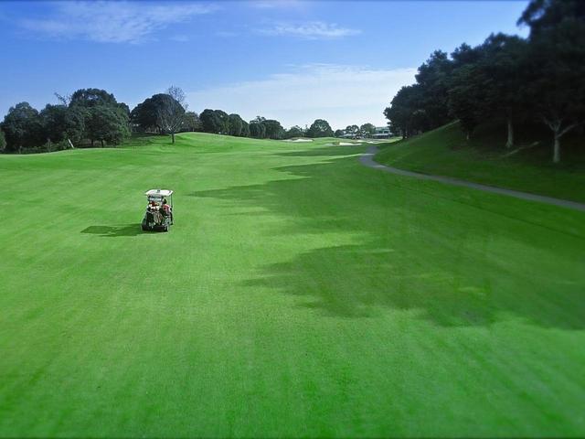 画像: GPSナビゲーション付きカートはフェアウェイ乗り入れ可能でセルフでも快適にラウンドできる