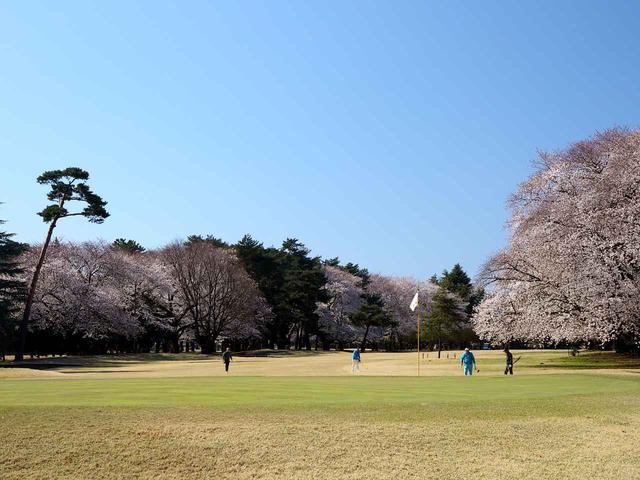 画像: 大宮ゴルフコース