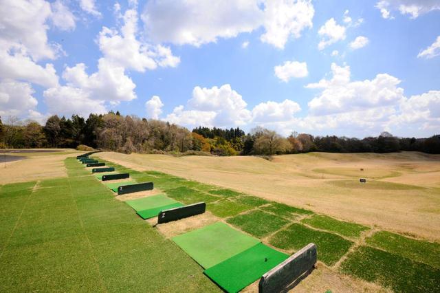 画像: ネットもなく開放感抜群、250㍎