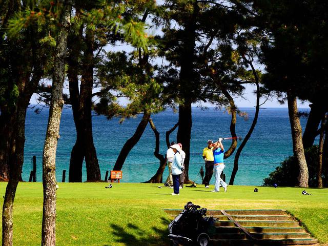 画像: 防風林の松林の中にコースがある。下関ゴルフ倶楽部