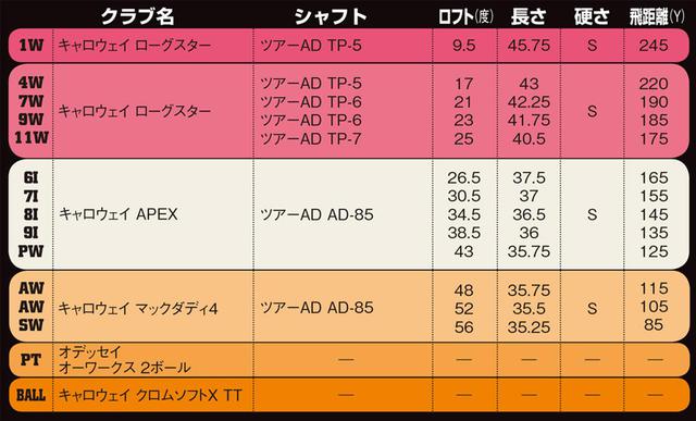 画像: ウッド5本、アイアン5本、ウェッジ3本