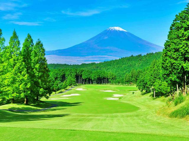 画像: レイブラントGC 18H/6424Y/P72