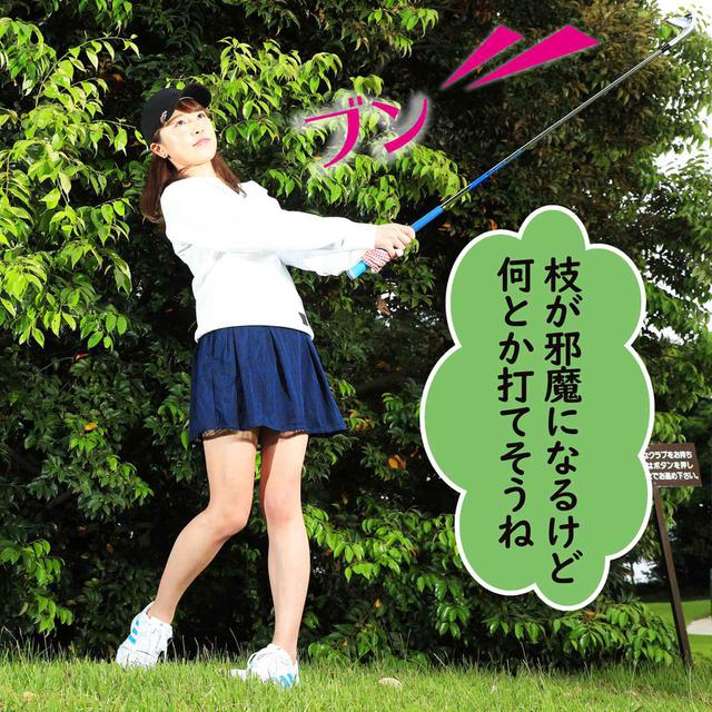 画像2: 【新ルール】素振りのときに、ヘッドが当たって葉っぱが落ちた! これはスウィング区域の改善になる?