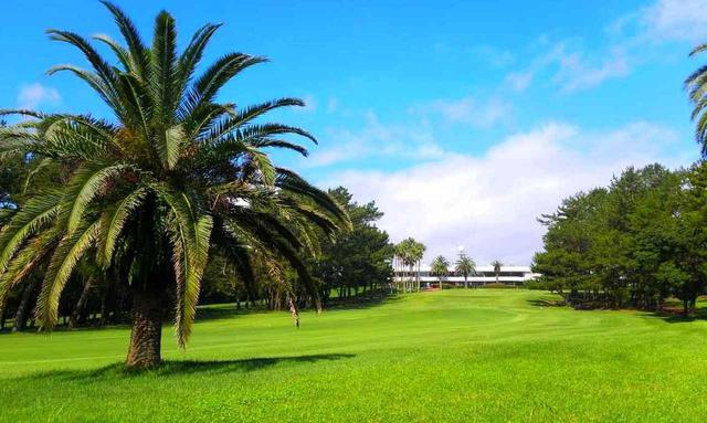 画像: 宮崎カントリークラブ(LPGAツアー選手権リコーカップ)
