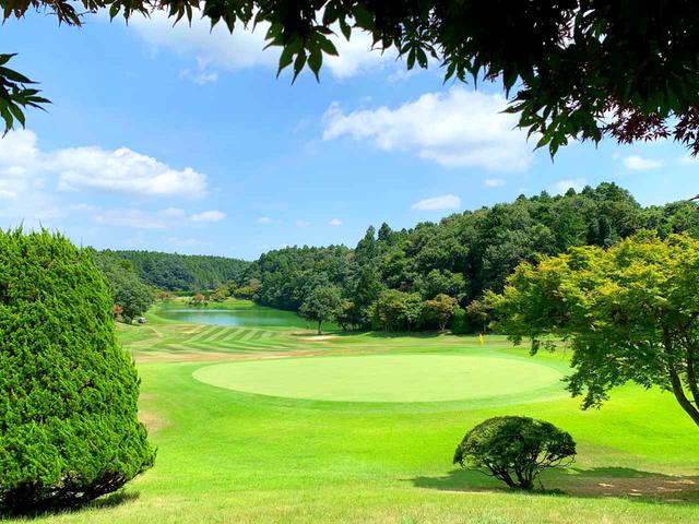 画像: プロテスト予選も開催するLPGA認定コース 「ゴルフ倶楽部 成田ハイツリー」(千葉県香取郡)