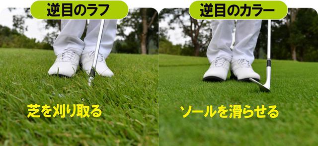 画像2: “芝の抵抗”を 素振りで確認