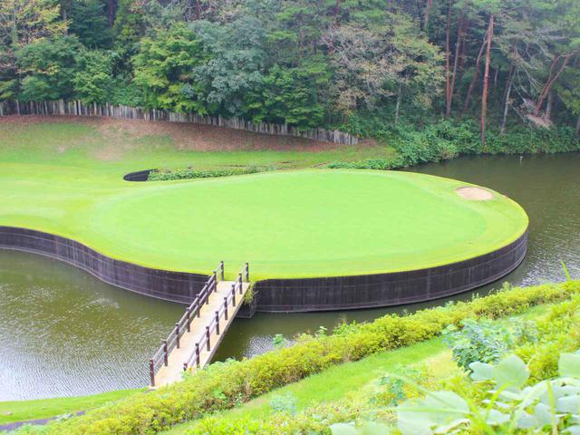 画像: 浮島グリーンを別の角度から