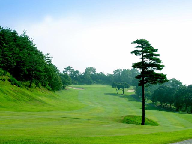 画像1: 松山国際ゴルフ倶楽部
