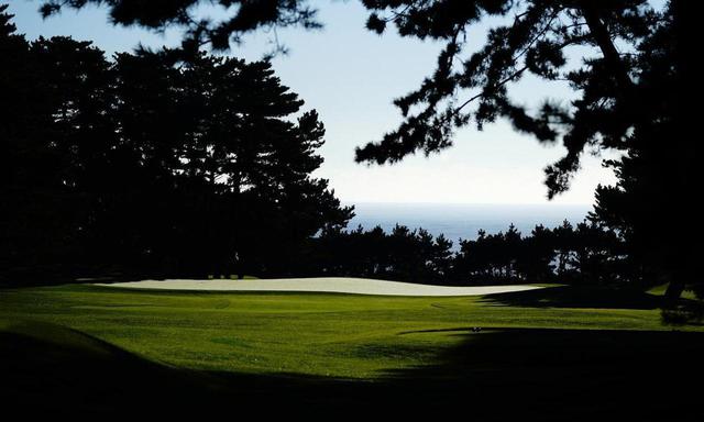 画像: 大洗GC 16番(245Y・P3)グリーン背景の海に向かって打つホール。海から吹く上げる風と松の枝が難度を高める