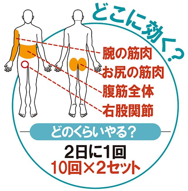 画像7: 【筋トレ】お家時間で飛距離アップ! しぶこ専属斎藤トレーナーが、あと10ヤード飛ばせるフィットネス器具を商品化