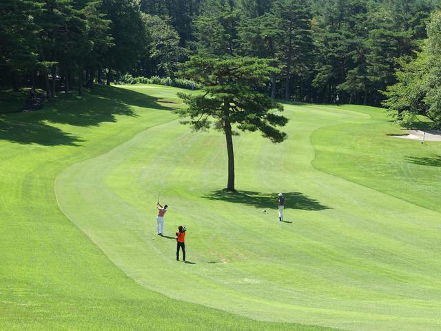 画像3: 【G-12130/岩手】夏涼!名コースでプレー 安比高原で過ごす みちのく岩手4日間3プレー(現地係員同行/一人予約可能)